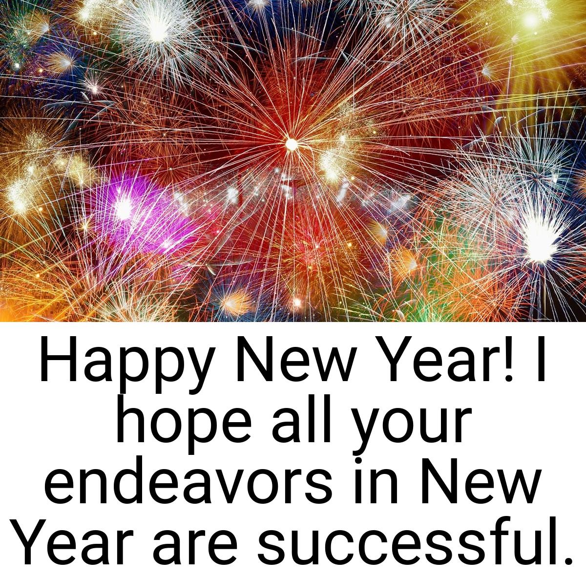 Happy New Year! I hope all your endeavors in New Year are