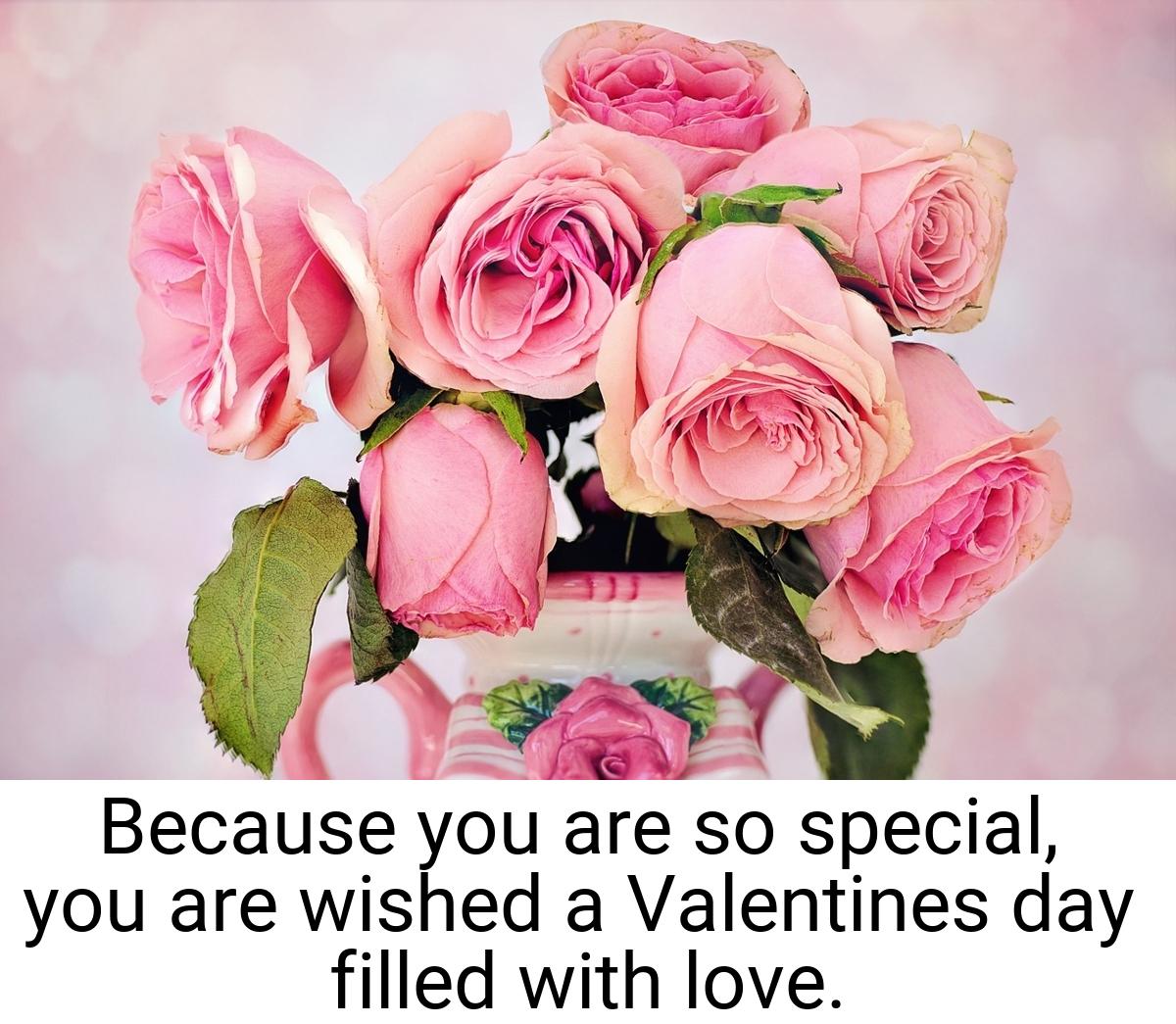 Because you are so special, you are wished a Valentines day