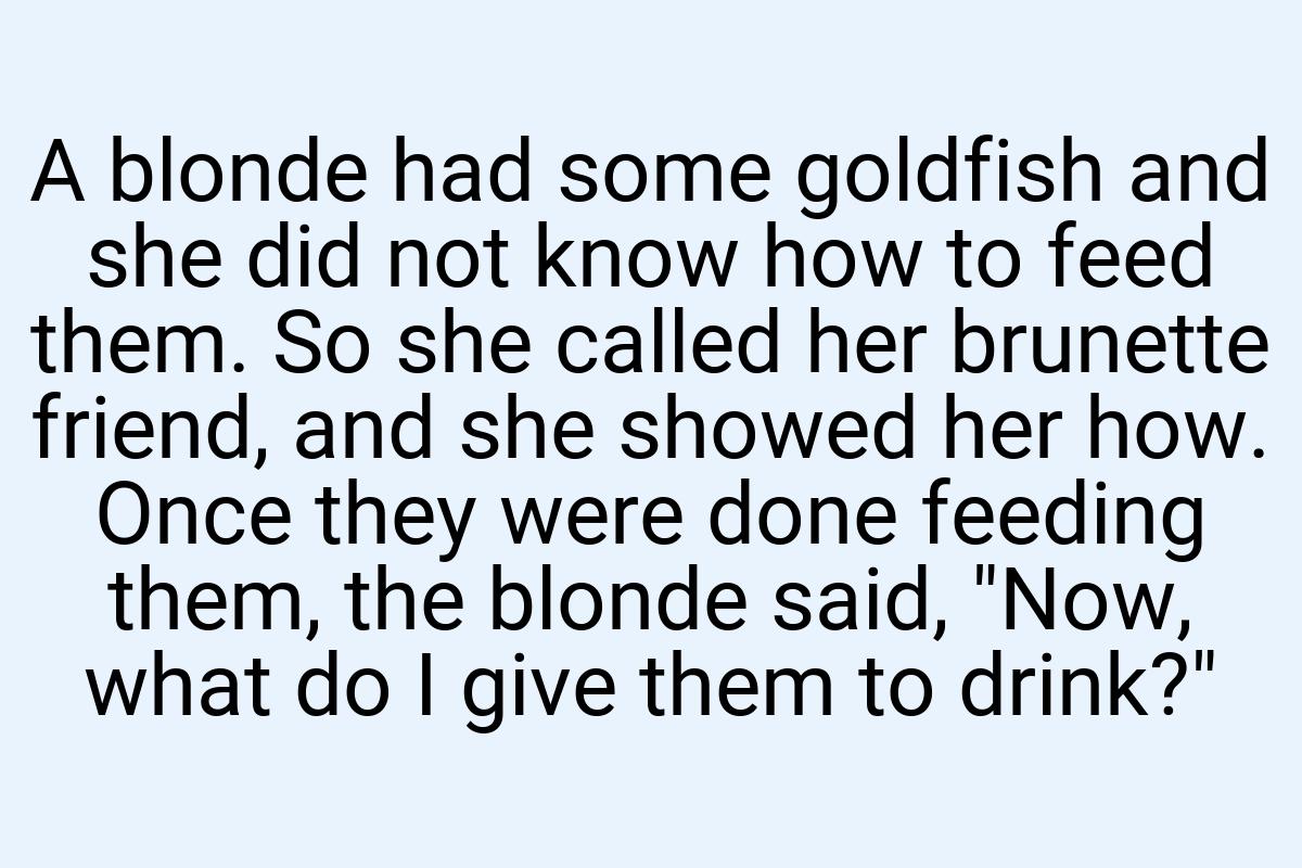 A blonde had some goldfish and she did not know how to feed