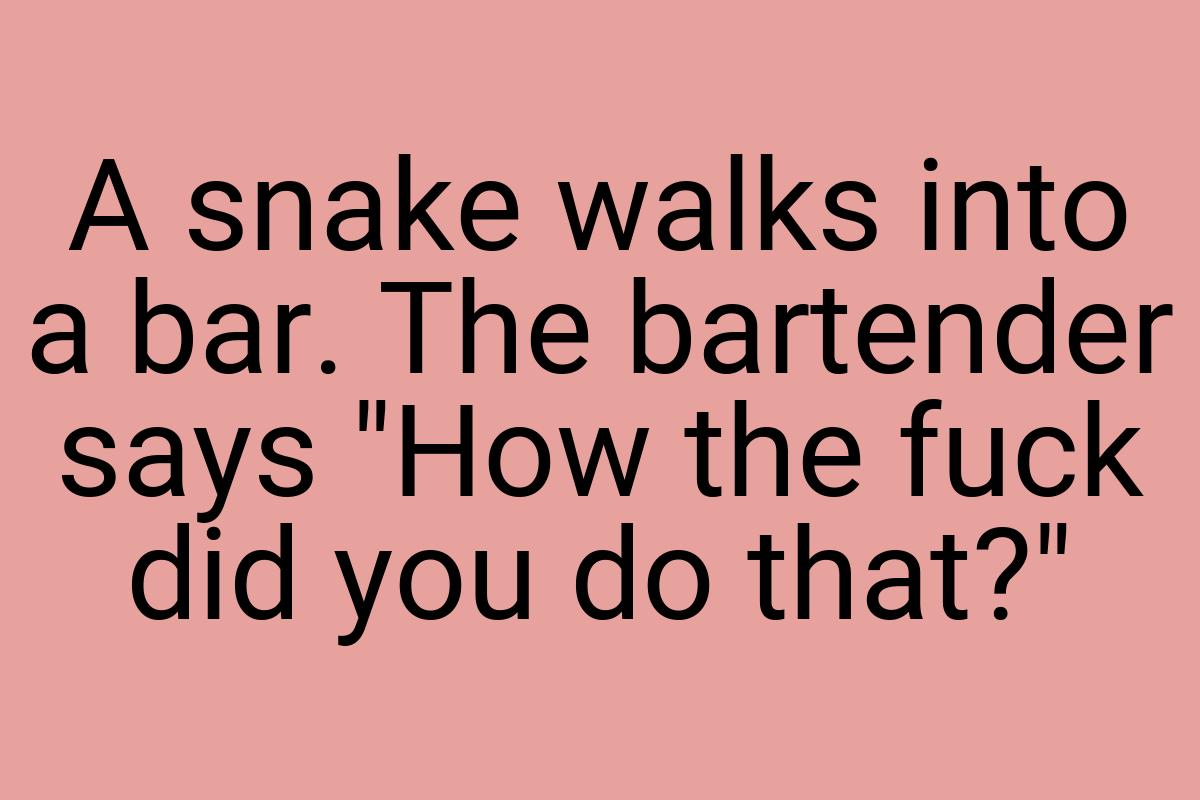 A snake walks into a bar. The bartender says "How the fuck