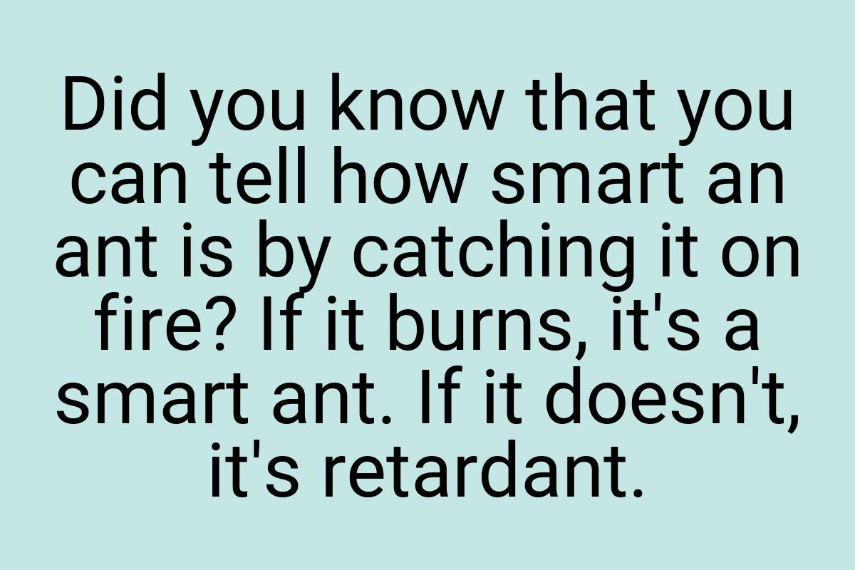 Did you know that you can tell how smart an ant is by