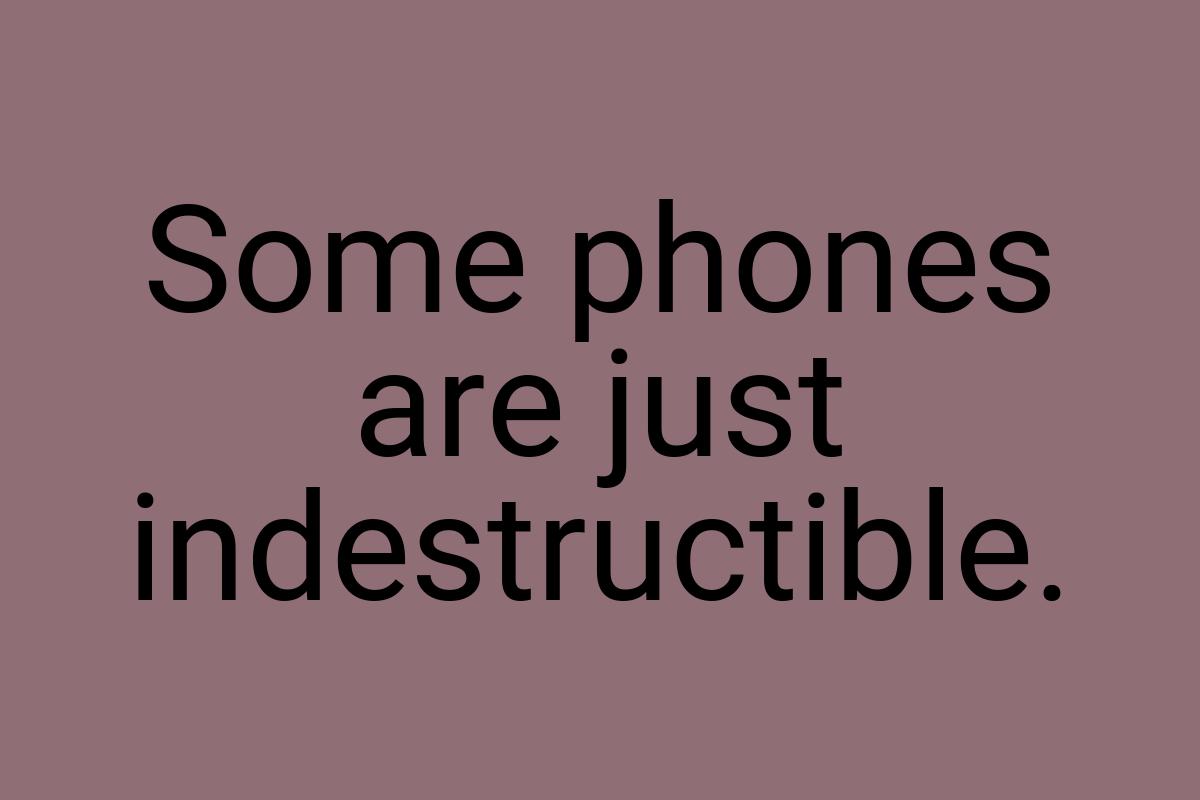 Some phones are just indestructible