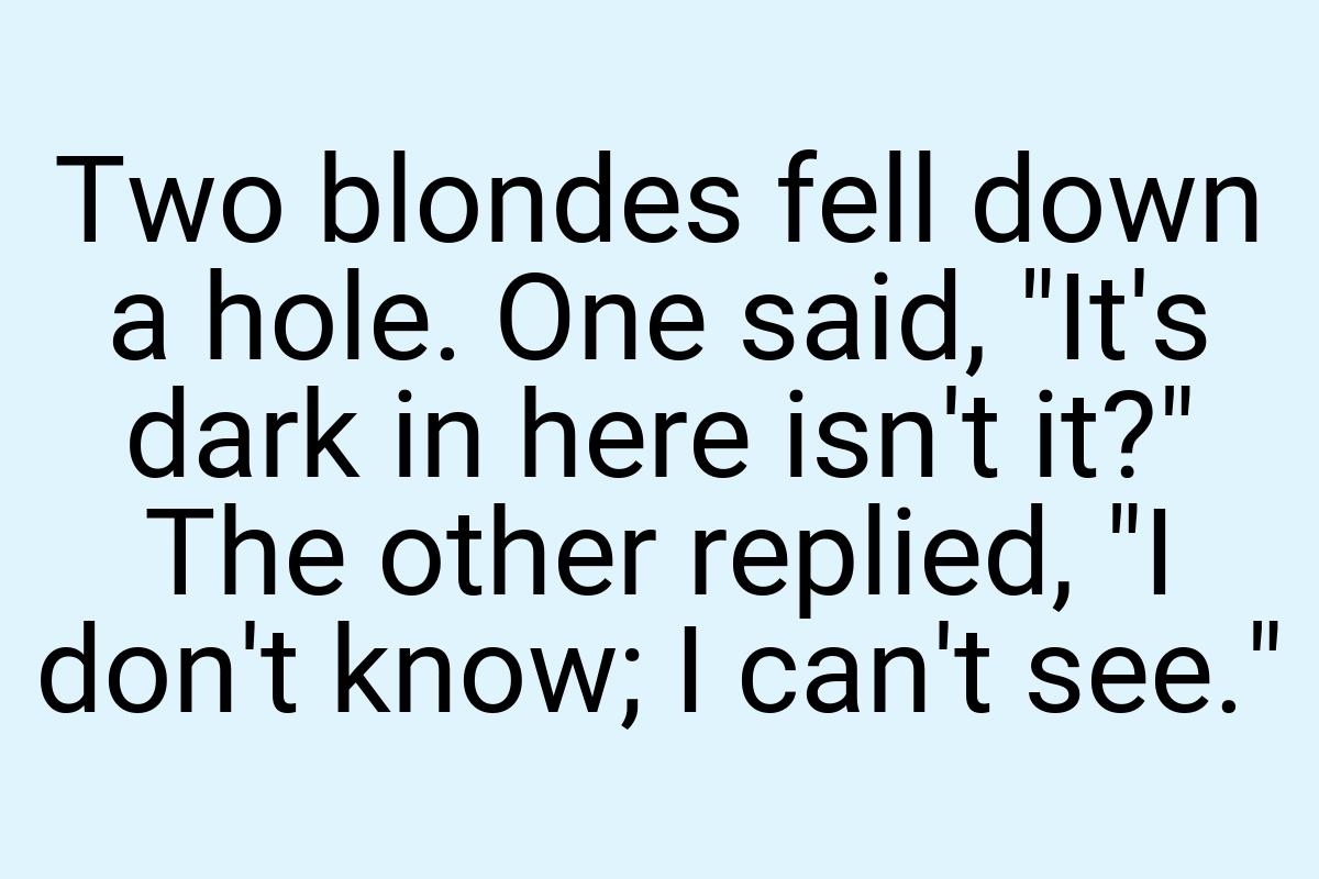 Two blondes fell down a hole. One said, "It's dark in here