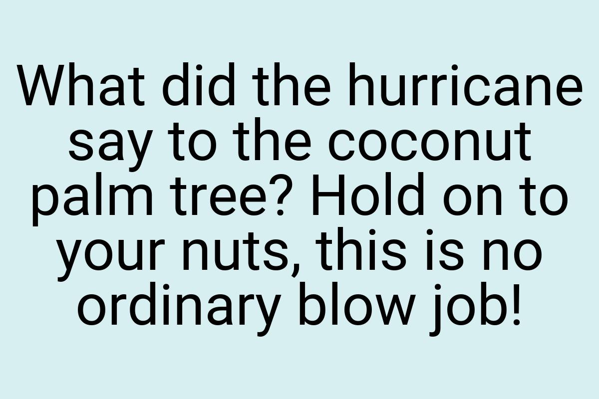 What did the hurricane say to the coconut palm tree? Hold