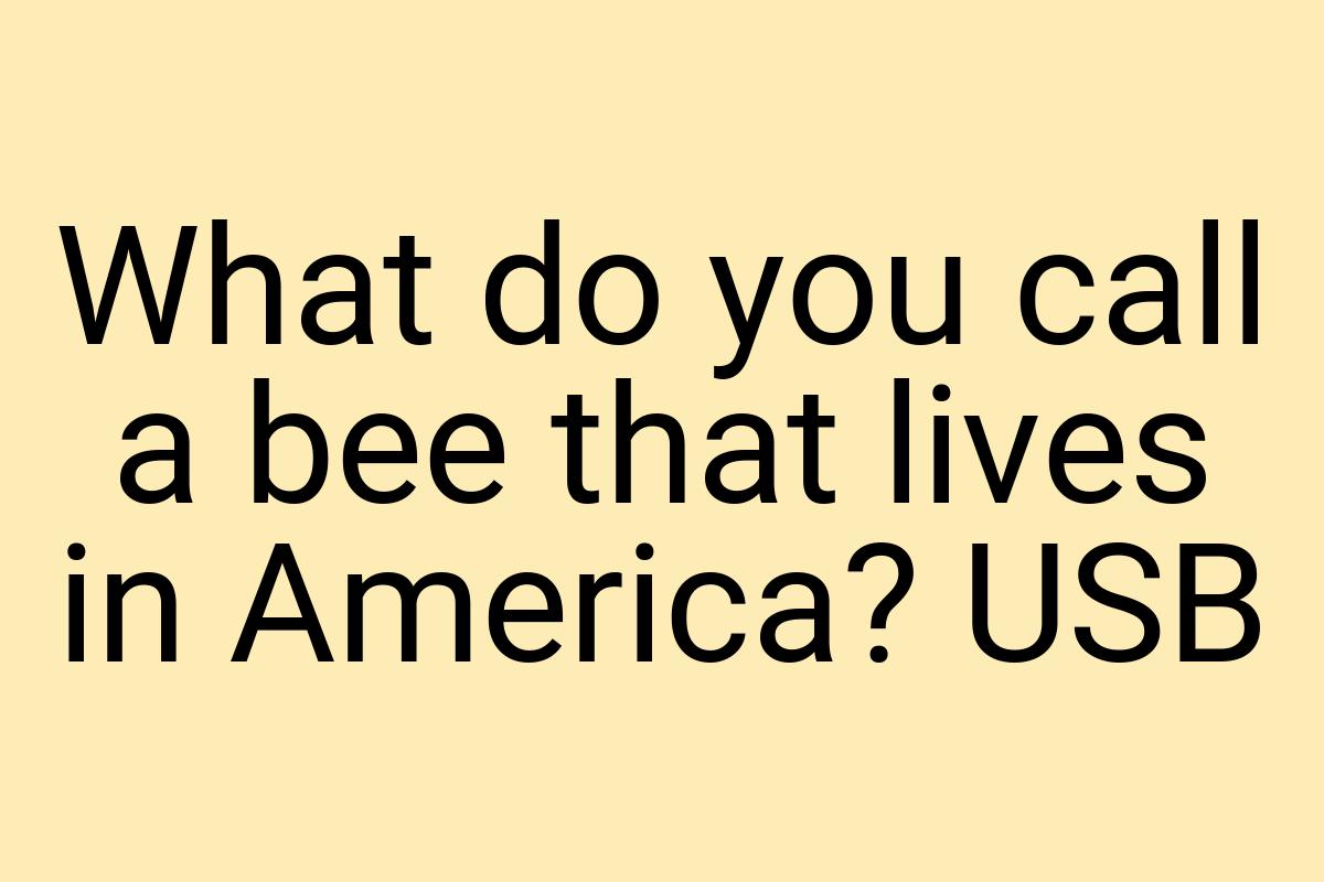 What do you call a bee that lives in America? USB