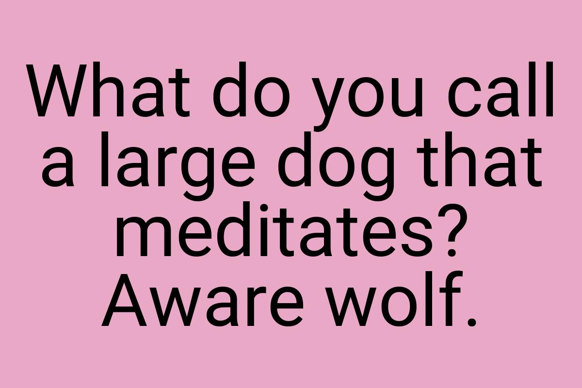 What do you call a large dog that meditates? Aware wolf