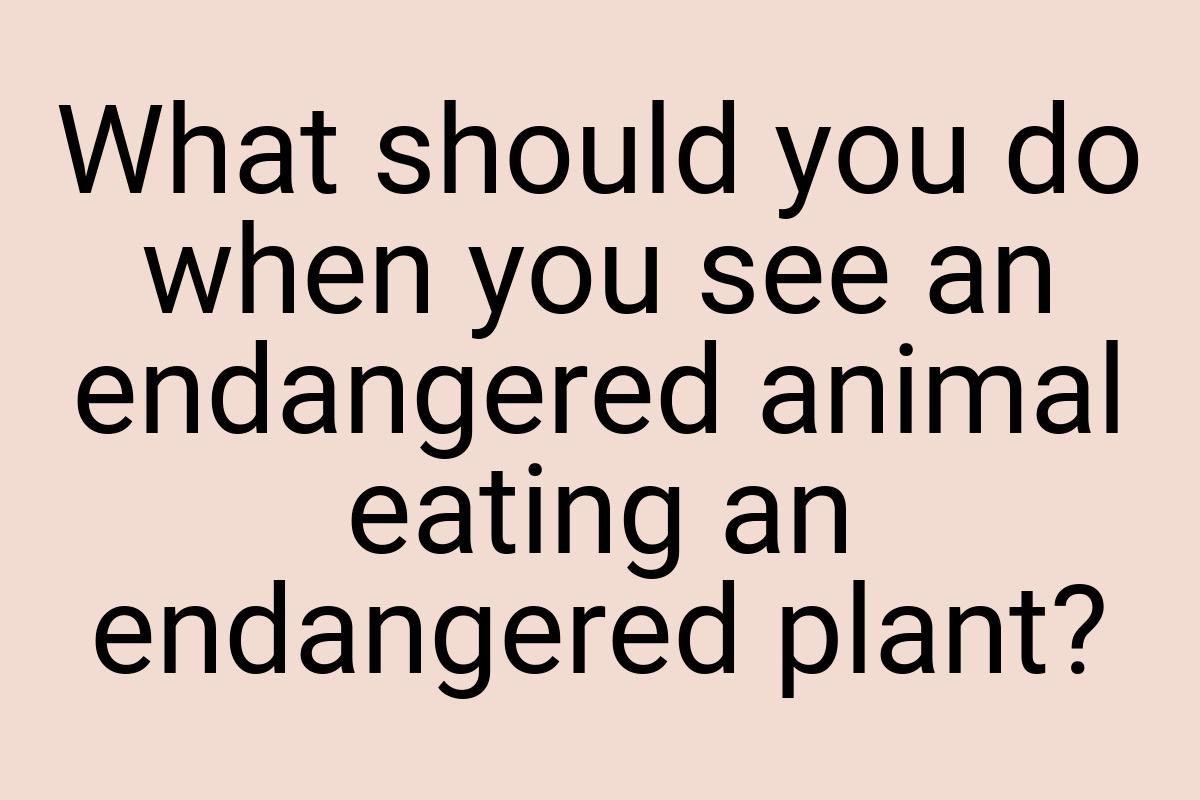 What should you do when you see an endangered animal eating