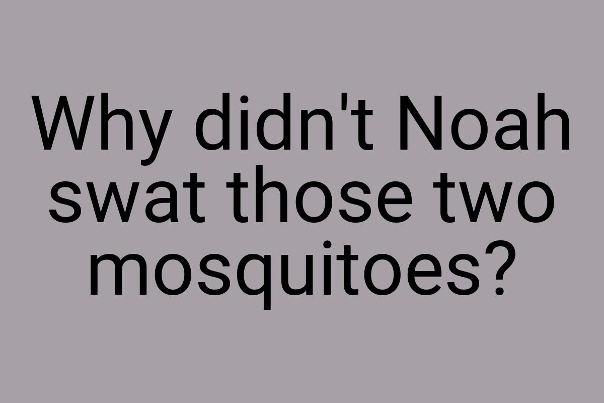 Why didn't Noah swat those two mosquitoes