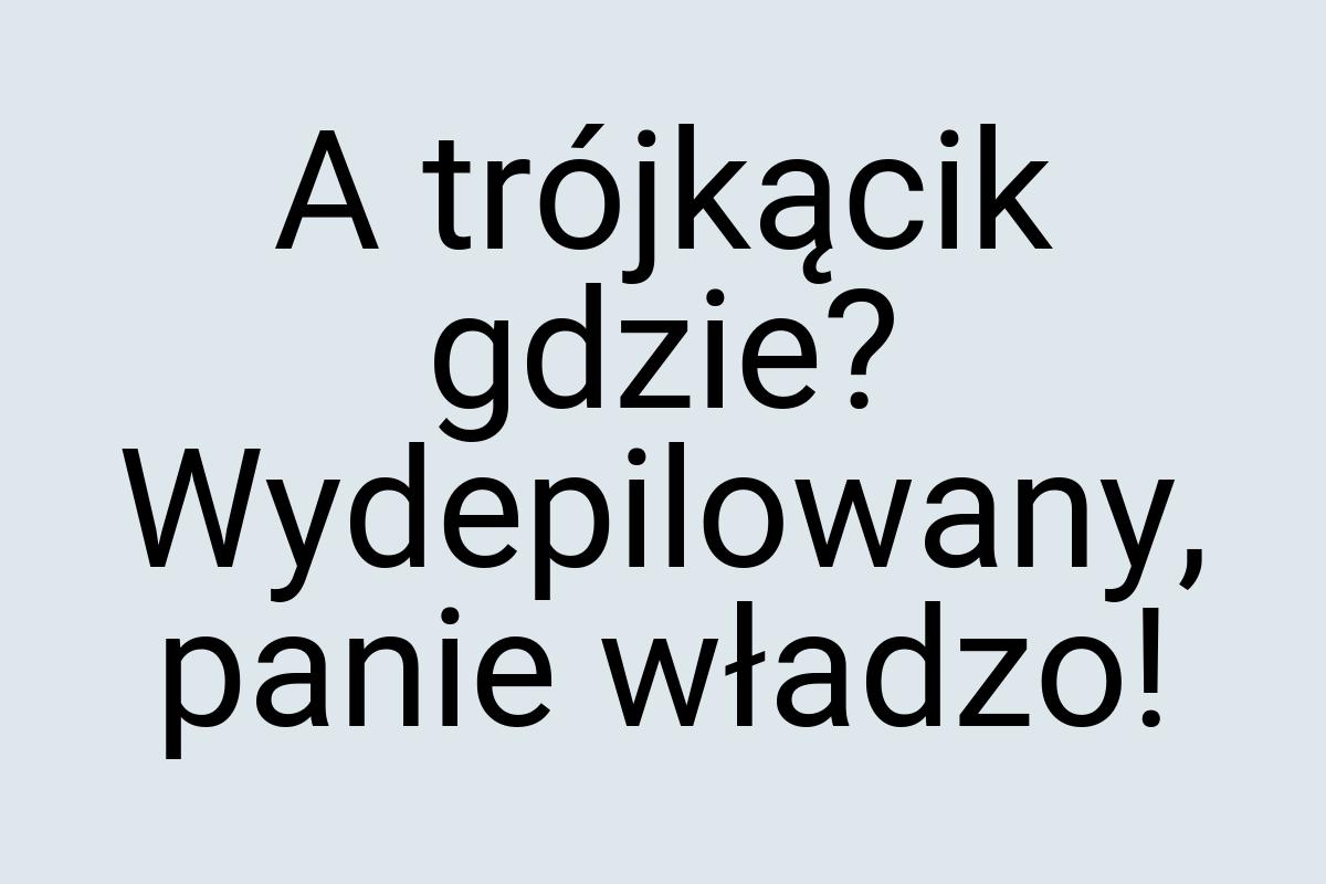 A trójkącik gdzie? Wydepilowany, panie władzo