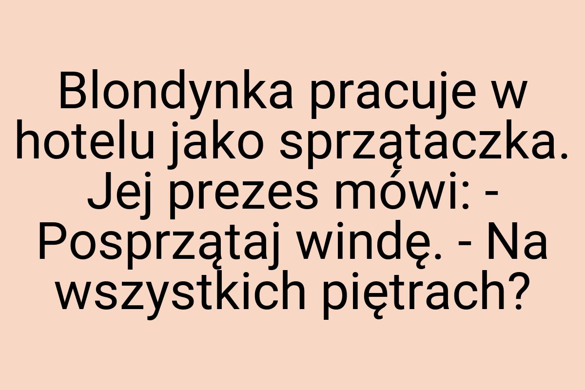 Blondynka pracuje w hotelu jako sprzątaczka. Jej prezes