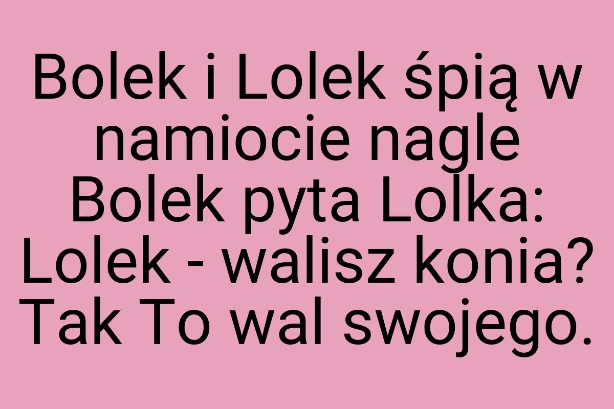 Bolek i Lolek śpią w namiocie nagle Bolek pyta Lolka: Lolek