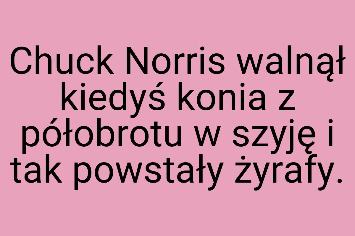 Chuck Norris walnął kiedyś konia z półobrotu w szyję i tak