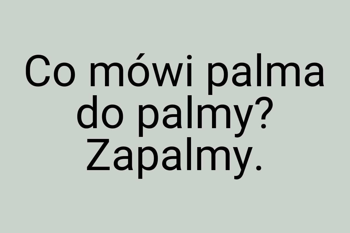 Co mówi palma do palmy? Zapalmy