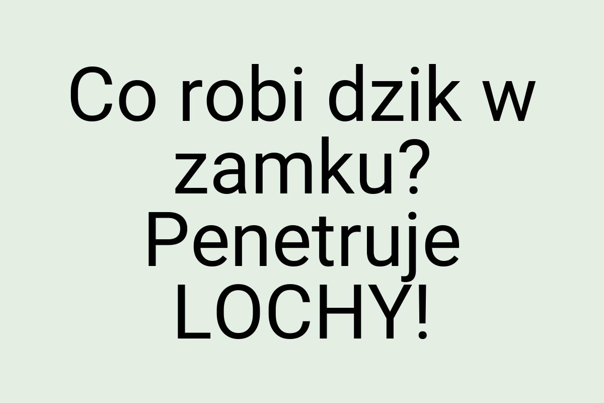 Co robi dzik w zamku? Penetruje LOCHY