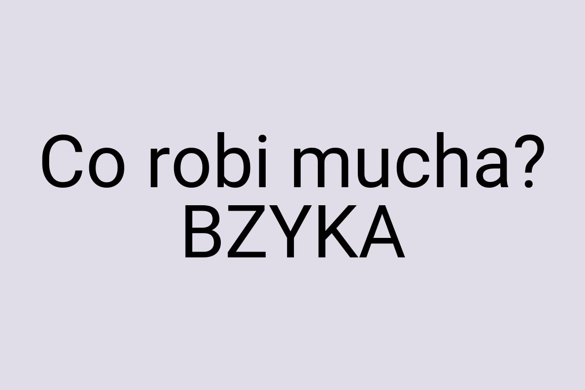 Co robi mucha? BZYKA