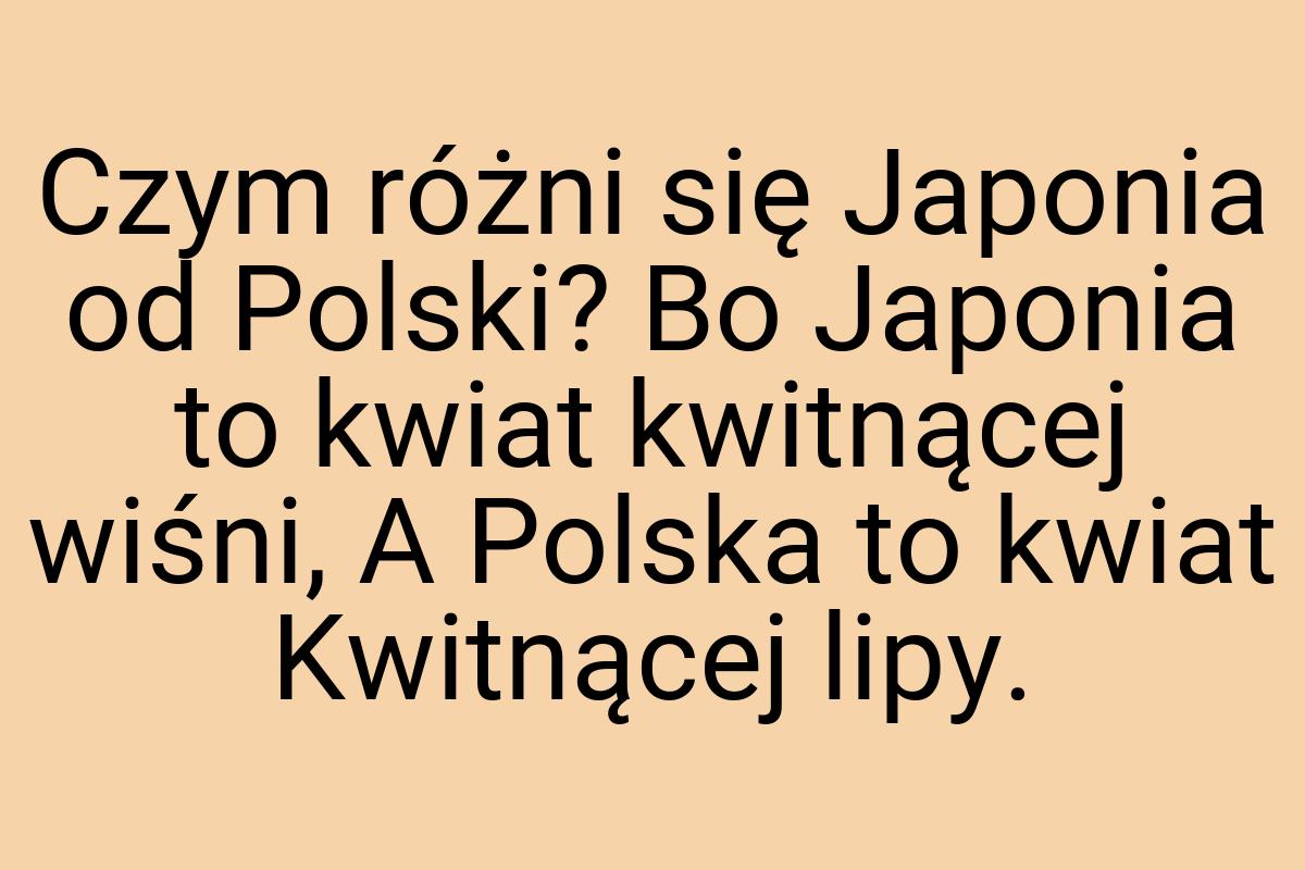 Czym różni się Japonia od Polski? Bo Japonia to kwiat