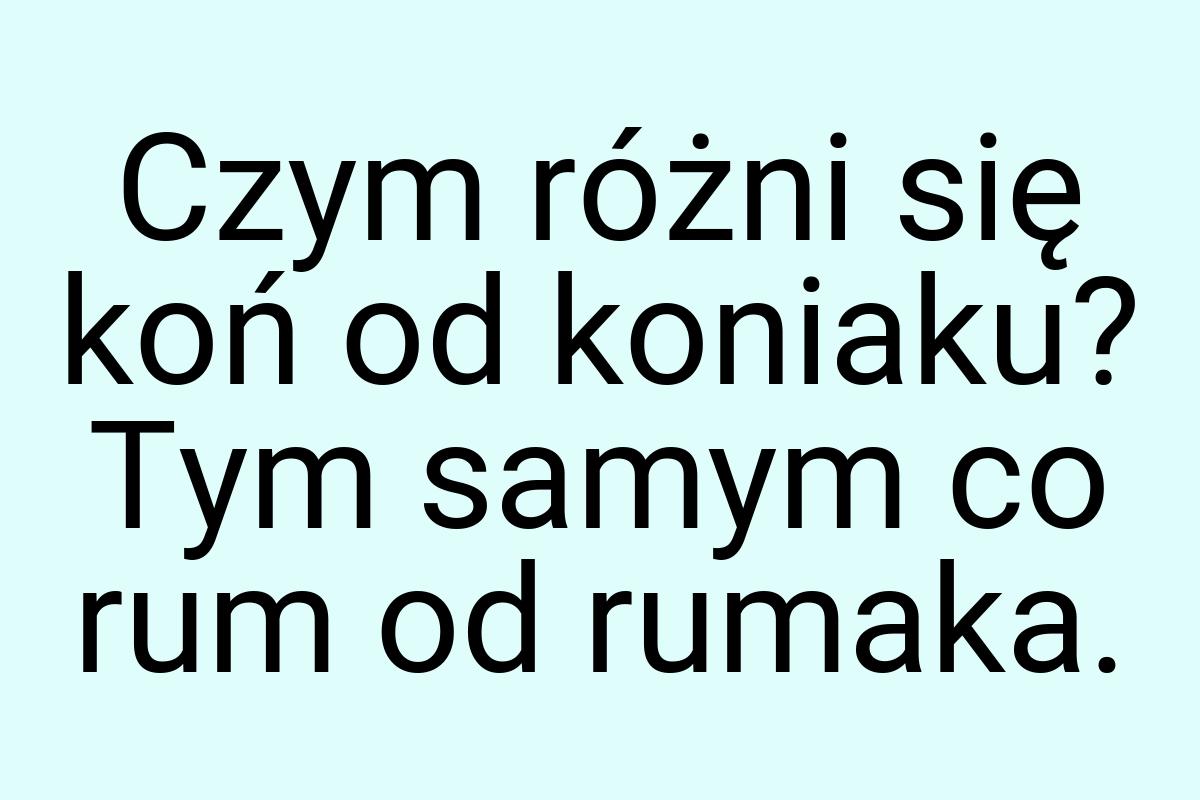 Czym różni się koń od koniaku? Tym samym co rum od rumaka