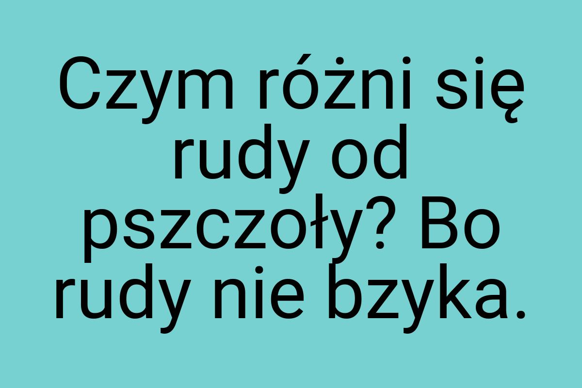 Czym różni się rudy od pszczoły? Bo rudy nie bzyka