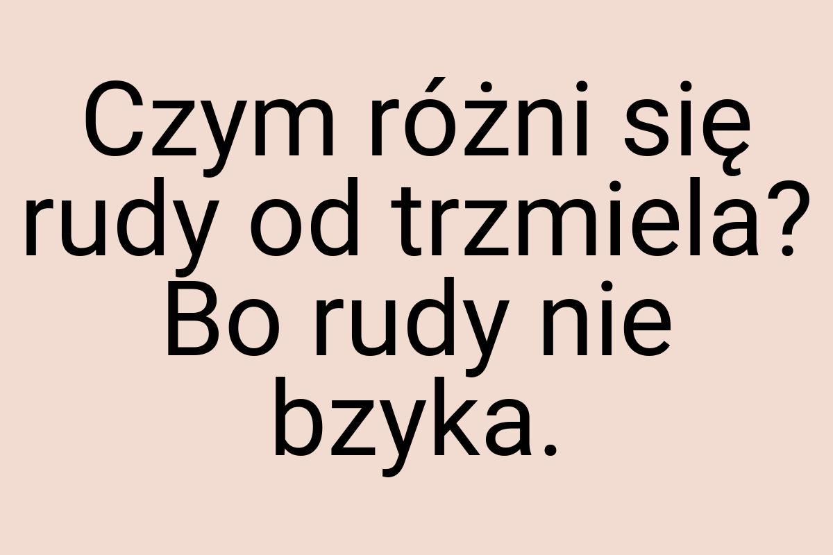 Czym różni się rudy od trzmiela? Bo rudy nie bzyka