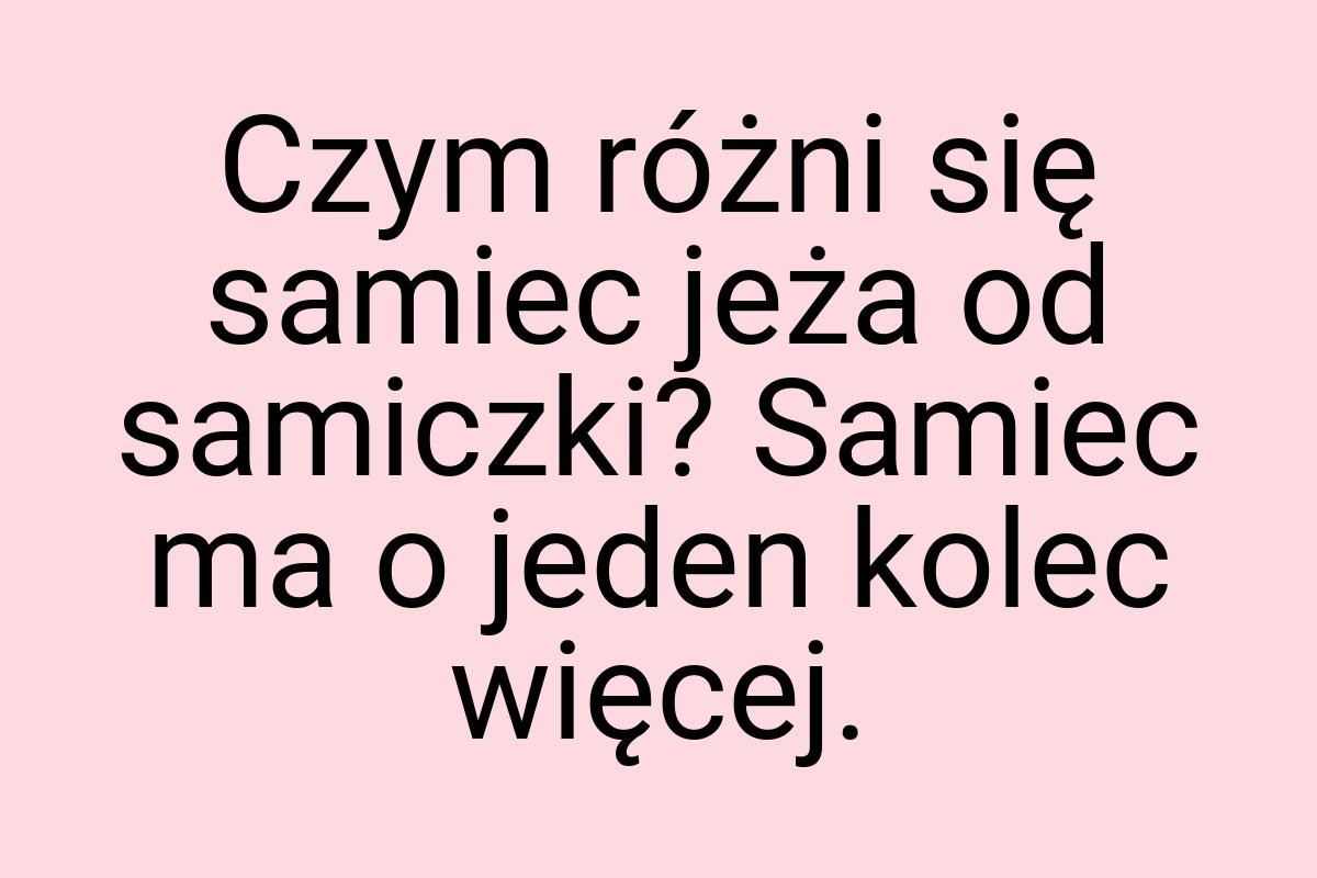 Czym różni się samiec jeża od samiczki? Samiec ma o jeden