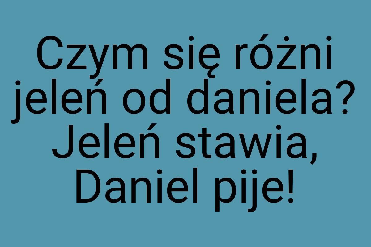 Czym się różni jeleń od daniela? Jeleń stawia, Daniel pije