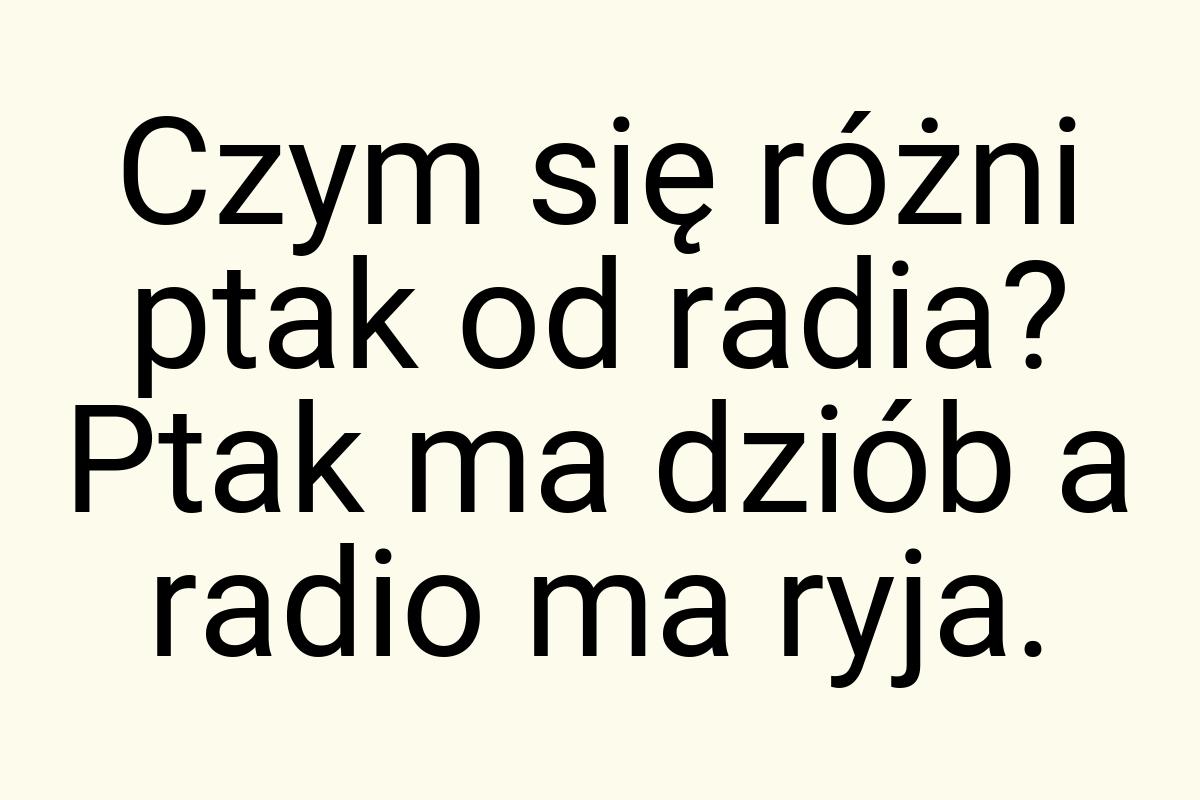 Czym się różni ptak od radia? Ptak ma dziób a radio ma ryja