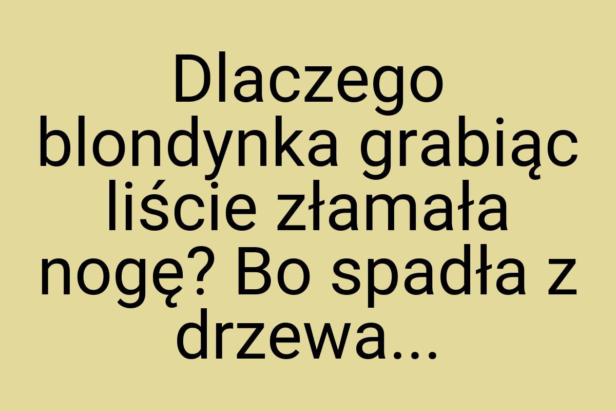 Dlaczego blondynka grabiąc liście złamała nogę? Bo spadła z