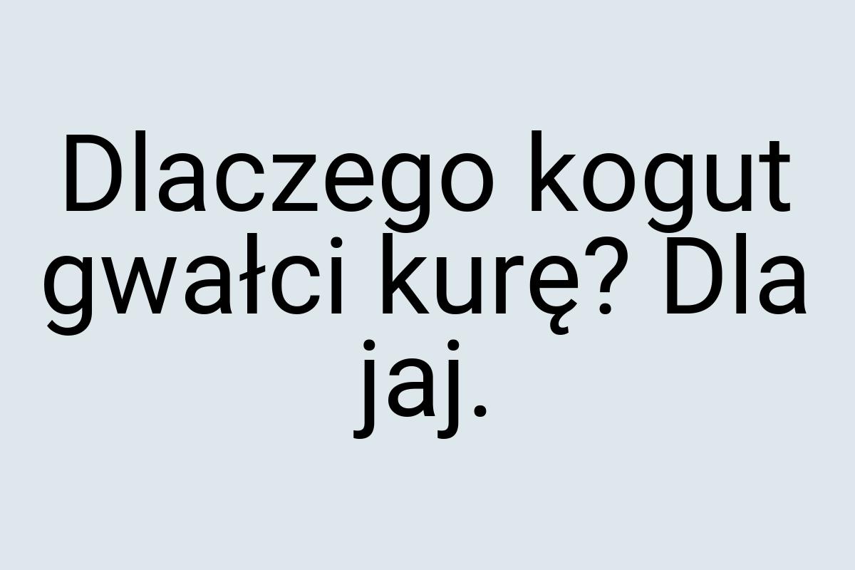 Dlaczego kogut gwałci kurę? Dla jaj