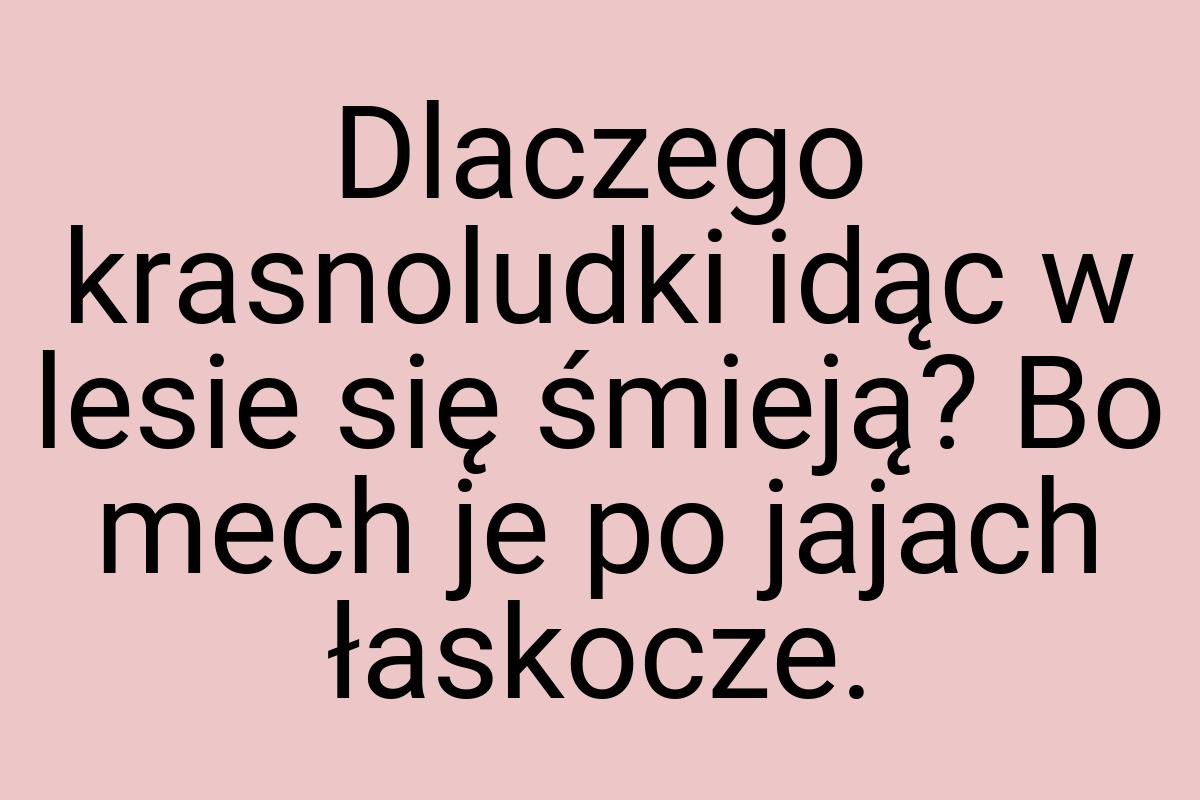 Dlaczego krasnoludki idąc w lesie się śmieją? Bo mech je po