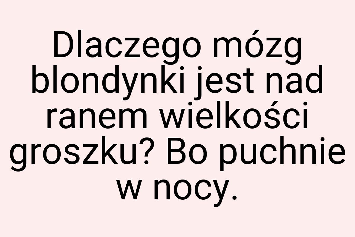 Dlaczego mózg blondynki jest nad ranem wielkości groszku