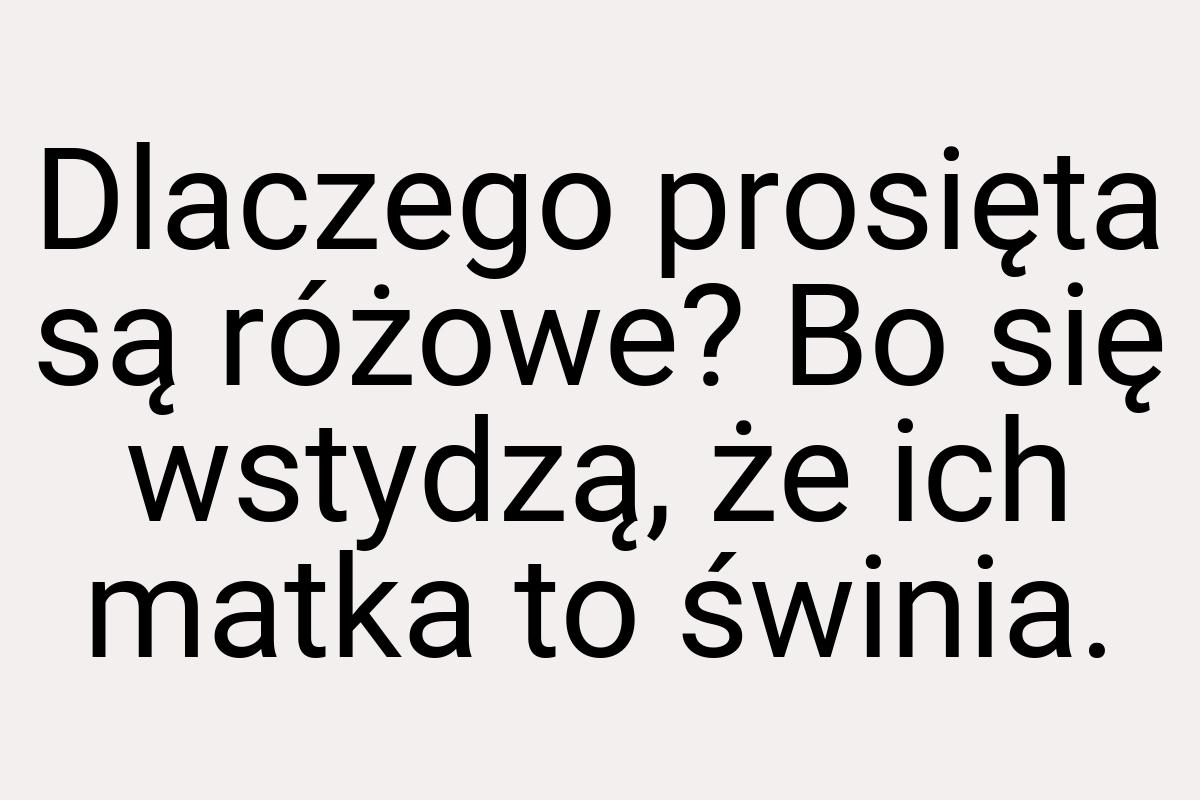 Dlaczego prosięta są różowe? Bo się wstydzą, że ich matka