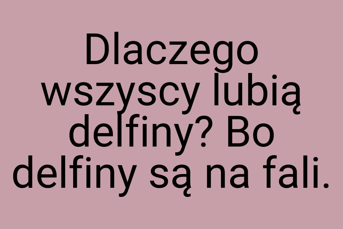 Dlaczego wszyscy lubią delfiny? Bo delfiny są na fali