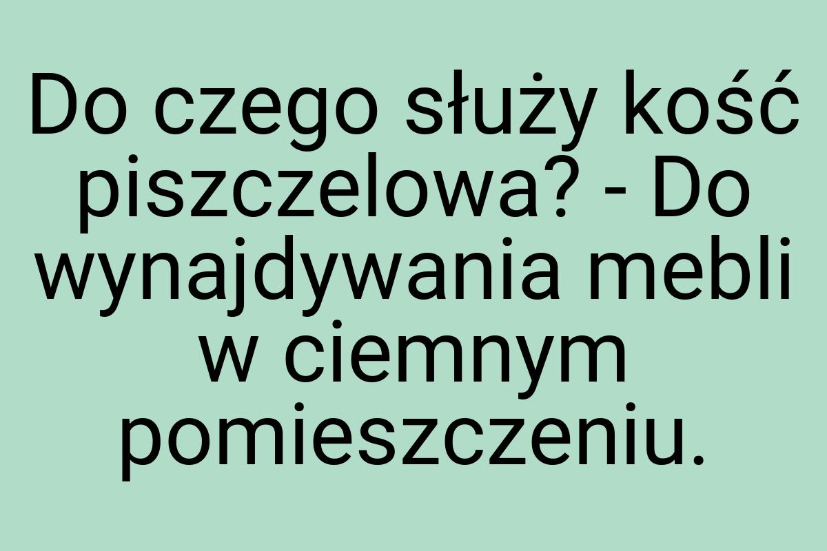 Do czego służy kość piszczelowa? - Do wynajdywania mebli w