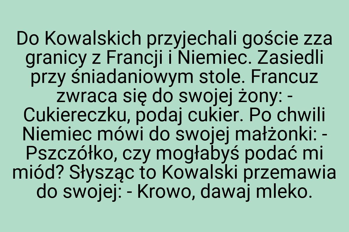 Do Kowalskich przyjechali goście zza granicy z Francji i