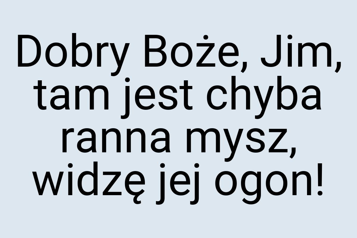 Dobry Boże, Jim, tam jest chyba ranna mysz, widzę jej ogon