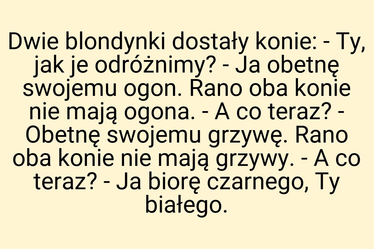 Dwie blondynki dostały konie: - Ty, jak je odróżnimy? - Ja