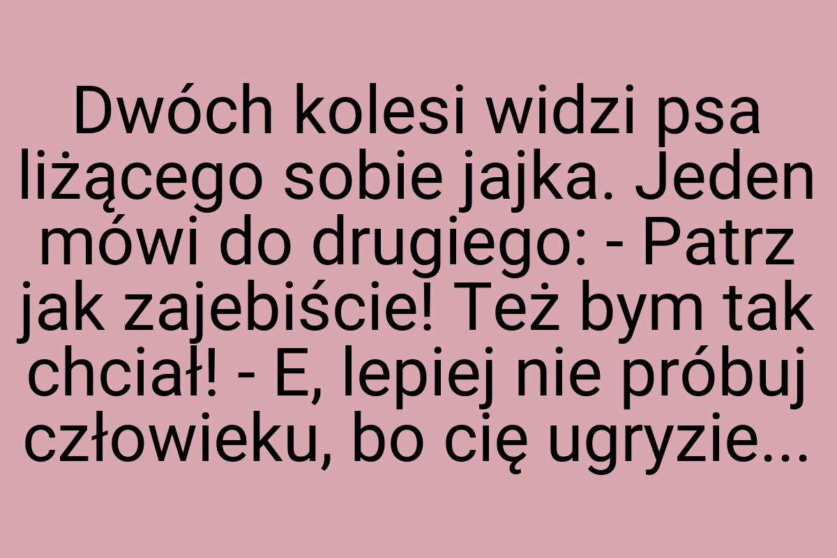 Dwóch kolesi widzi psa liżącego sobie jajka. Jeden mówi do