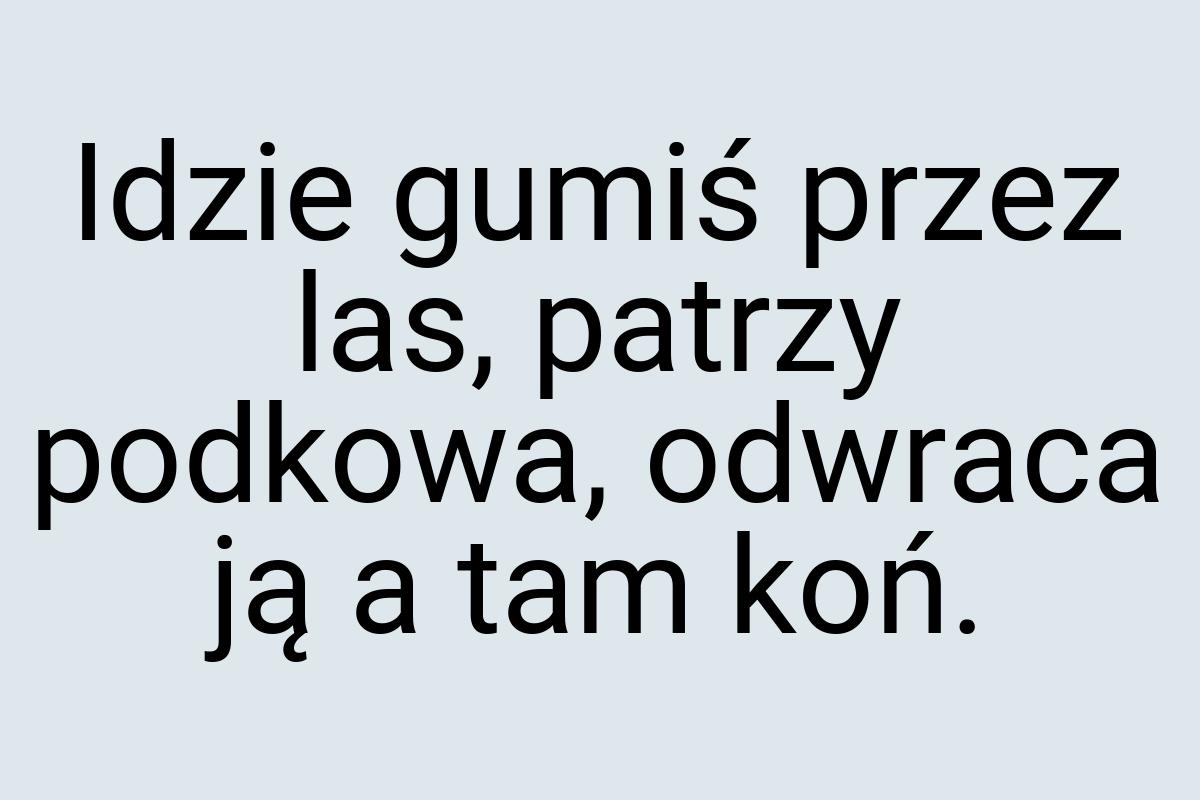 Idzie gumiś przez las, patrzy podkowa, odwraca ją a tam koń