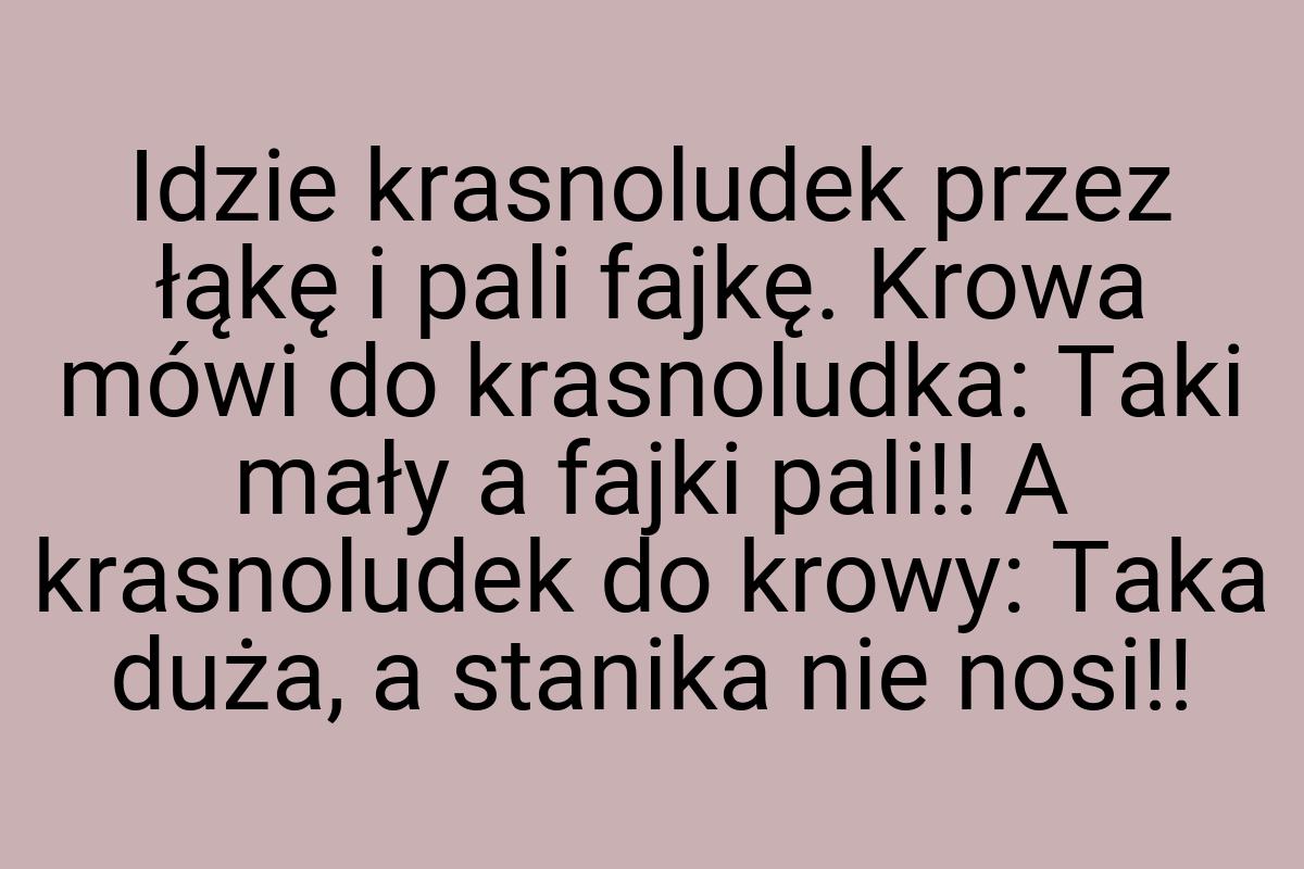 Idzie krasnoludek przez łąkę i pali fajkę. Krowa mówi do