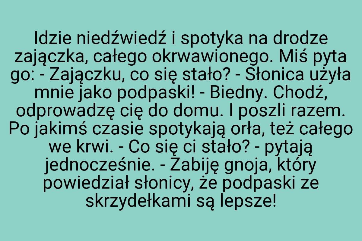 Idzie niedźwiedź i spotyka na drodze zajączka, całego