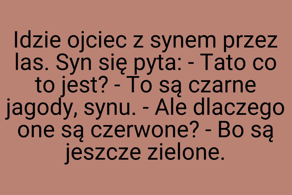 Idzie ojciec z synem przez las. Syn się pyta: - Tato co to