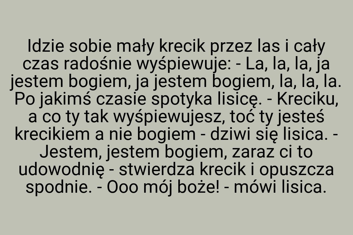 Idzie sobie mały krecik przez las i cały czas radośnie