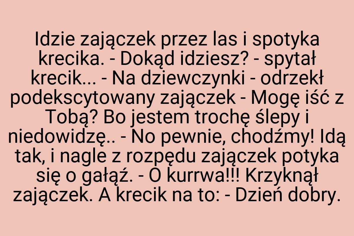 Idzie zajączek przez las i spotyka krecika. - Dokąd