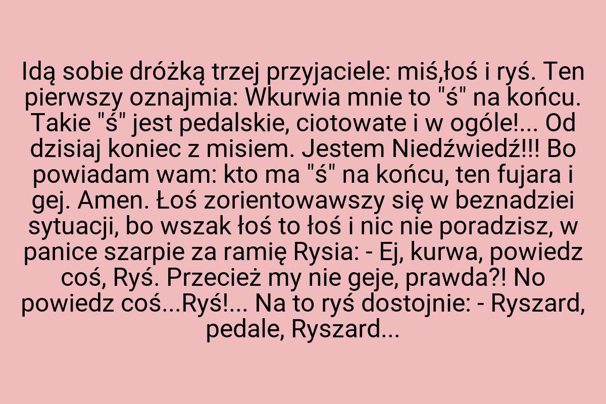 Idą sobie dróżką trzej przyjaciele: miś,łoś i ryś. Ten