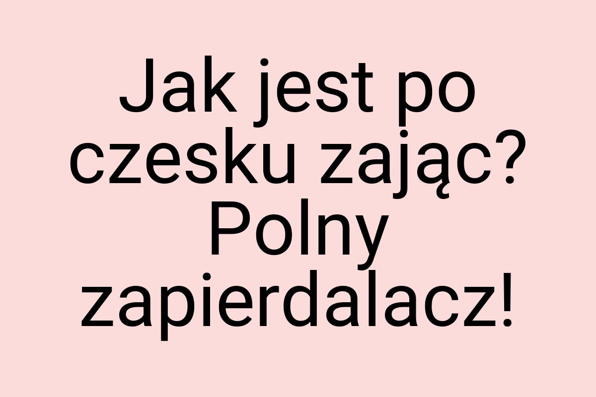 Jak jest po czesku zając? Polny zapierdalacz