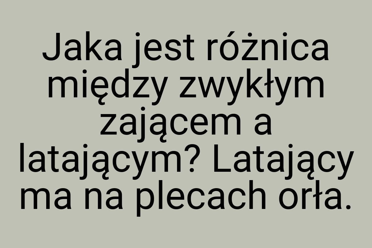 Jaka jest różnica między zwykłym zającem a latającym