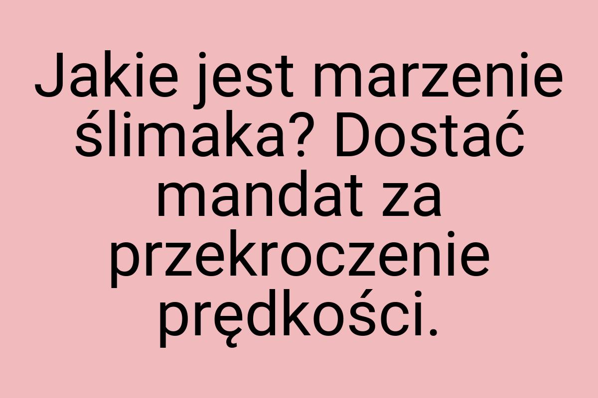 Jakie jest marzenie ślimaka? Dostać mandat za przekroczenie