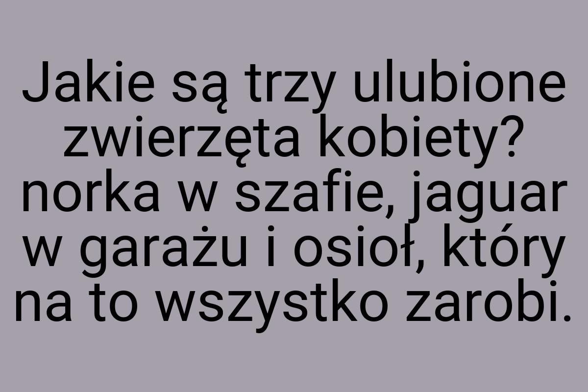 Jakie są trzy ulubione zwierzęta kobiety? norka w szafie