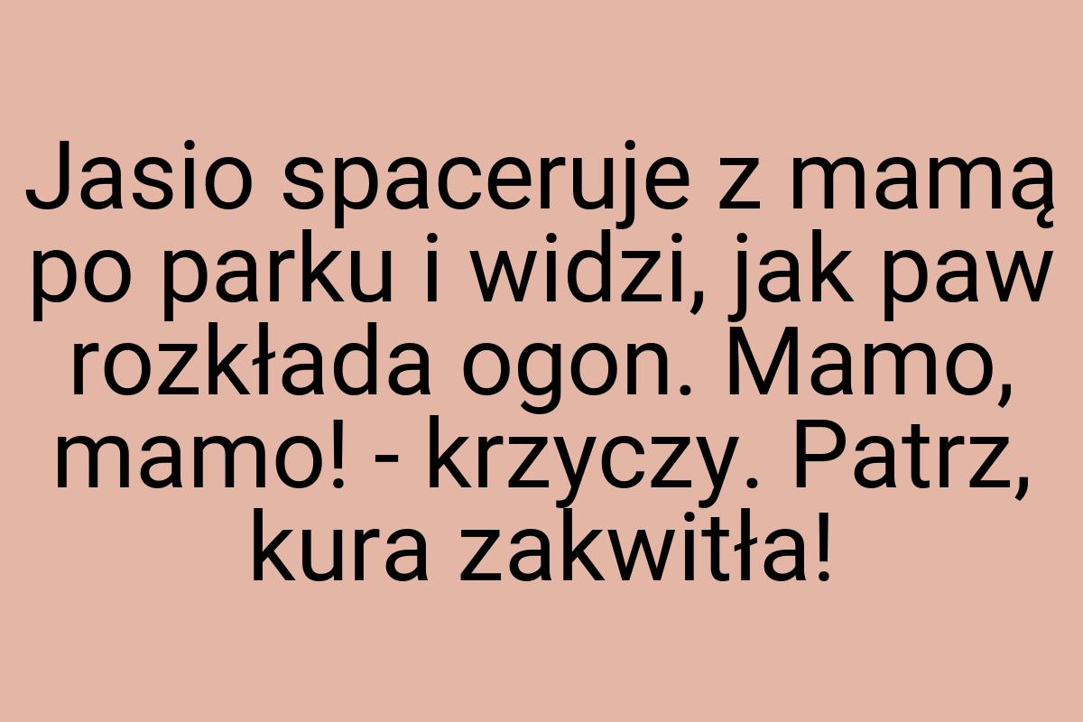 Jasio spaceruje z mamą po parku i widzi, jak paw rozkłada