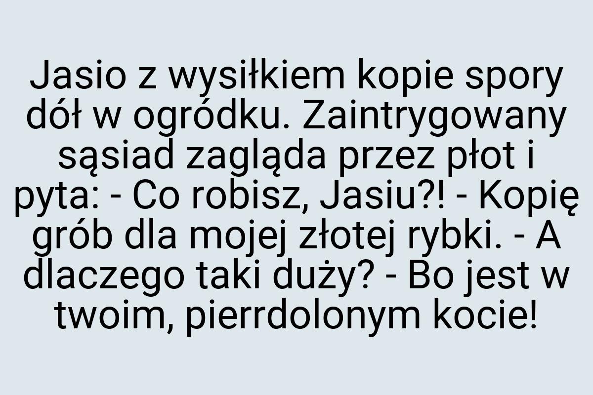 Jasio z wysiłkiem kopie spory dół w ogródku. Zaintrygowany